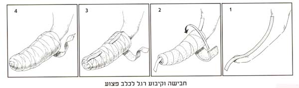 תרשים פצעים